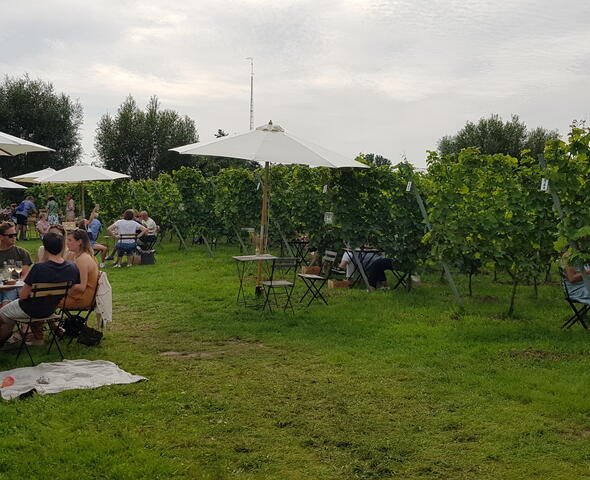 Wijndomein Waes Summer Bar